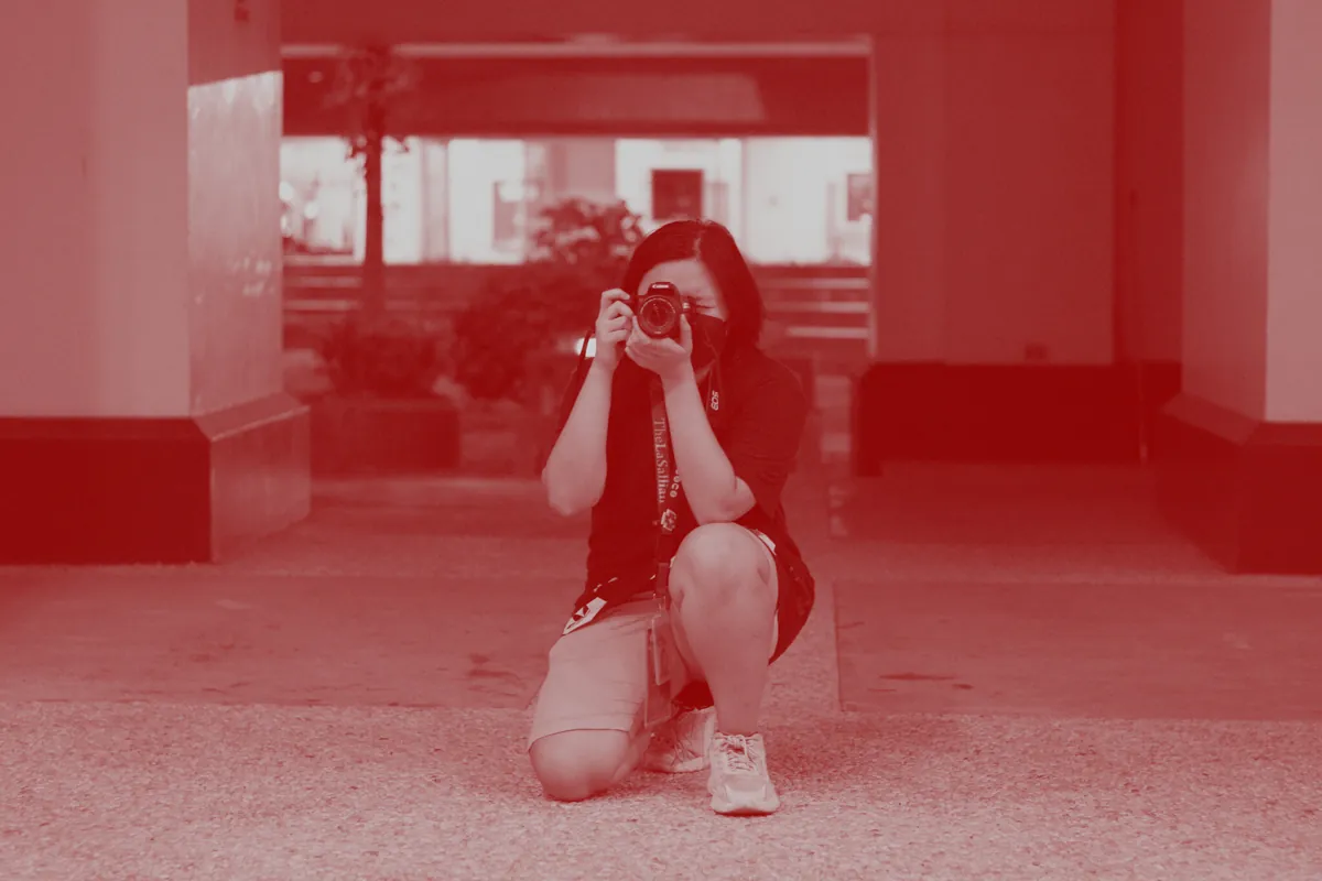 Photo section banner