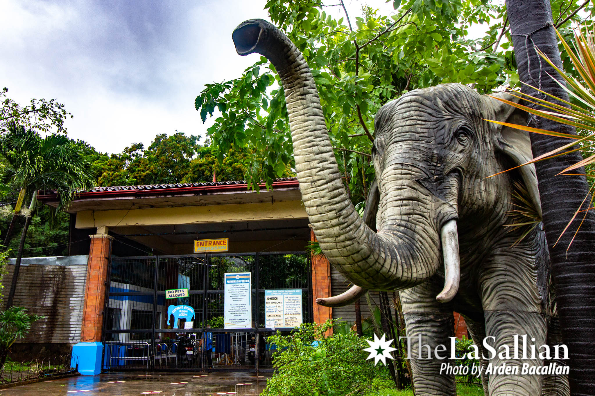 animals-in-captivity-manila-zoo-understood-the-lasallian